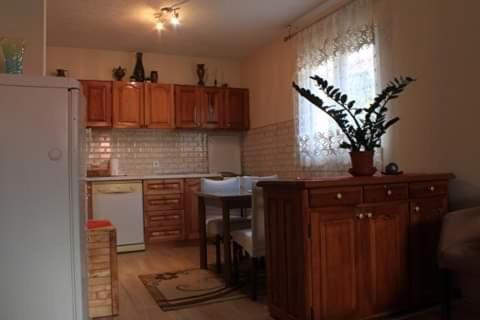 Apartment Mountain Dream Žabljak Esterno foto