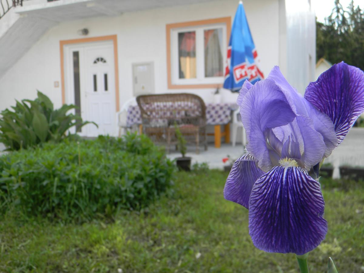 Apartment Mountain Dream Žabljak Esterno foto