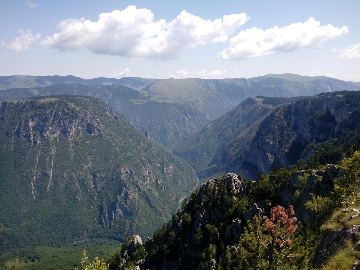 Apartment Mountain Dream Žabljak Esterno foto